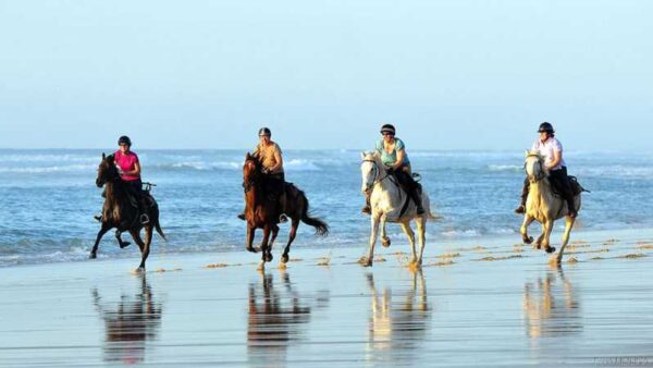 Agadir Horse Ride