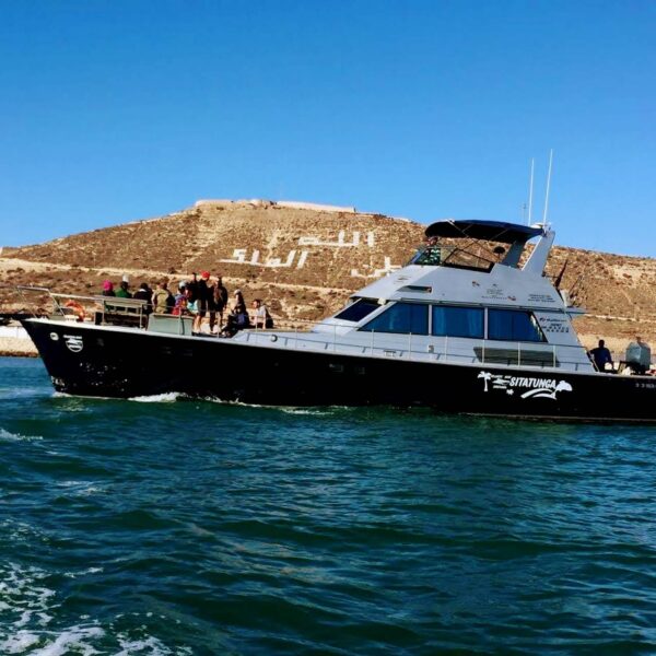 Boat Trip with Swimming in Agadir